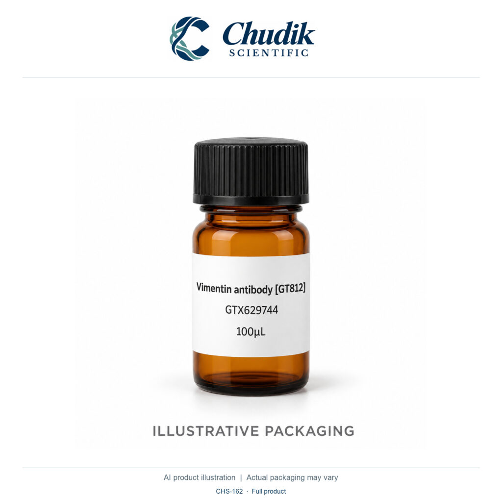 Chudik Scientific | Vimentin Antibody [GT812] — 100 µL