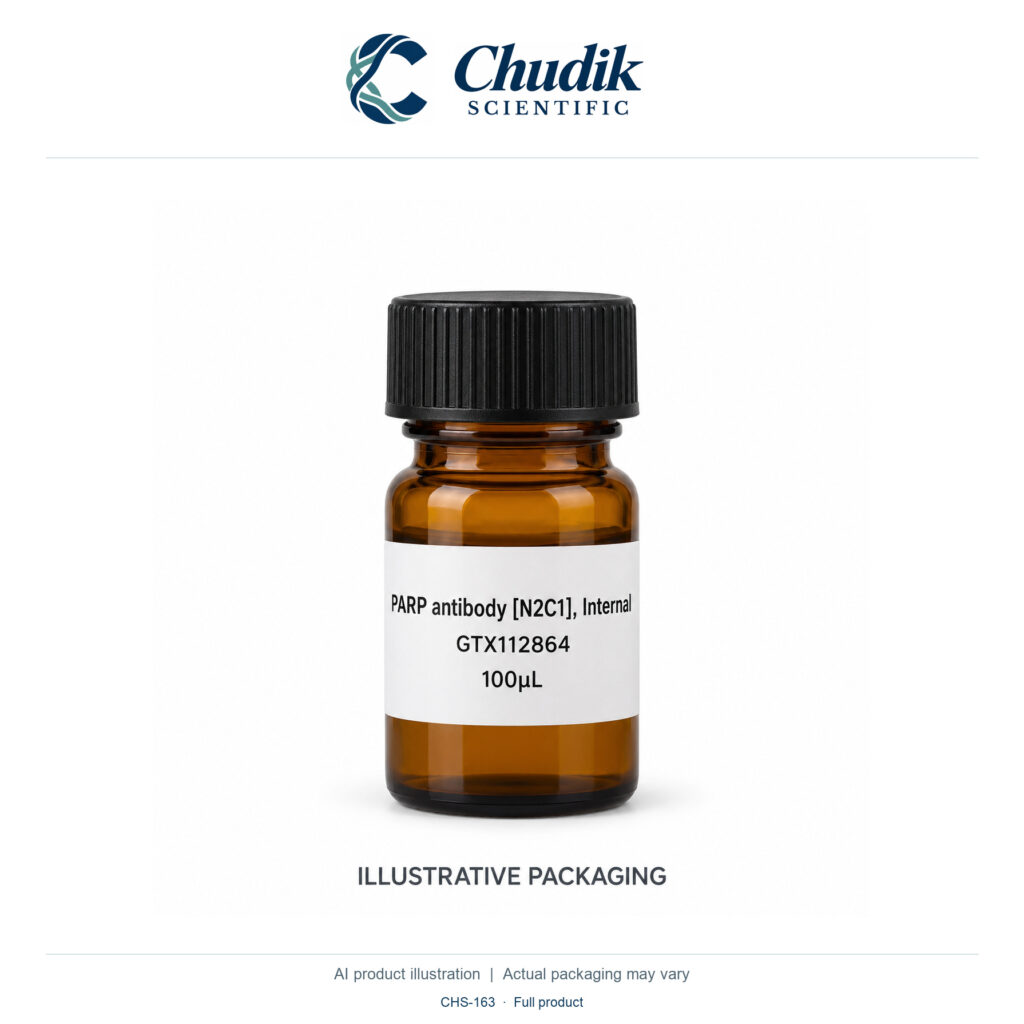 Chudik Scientific | PARP Antibody [N2C1], Internal — 100 µL